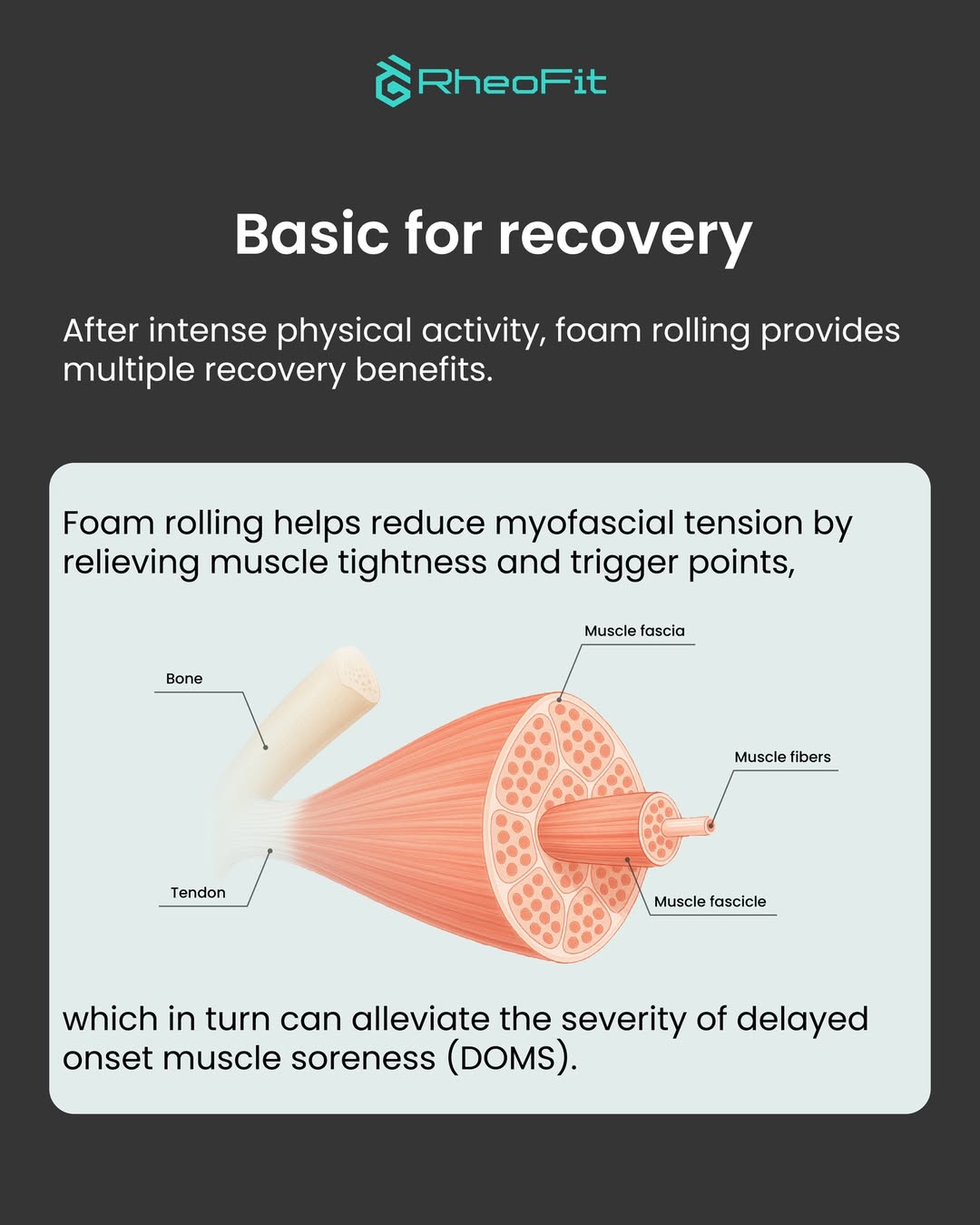 RheoFit A1 AI-powered Automatic Massage