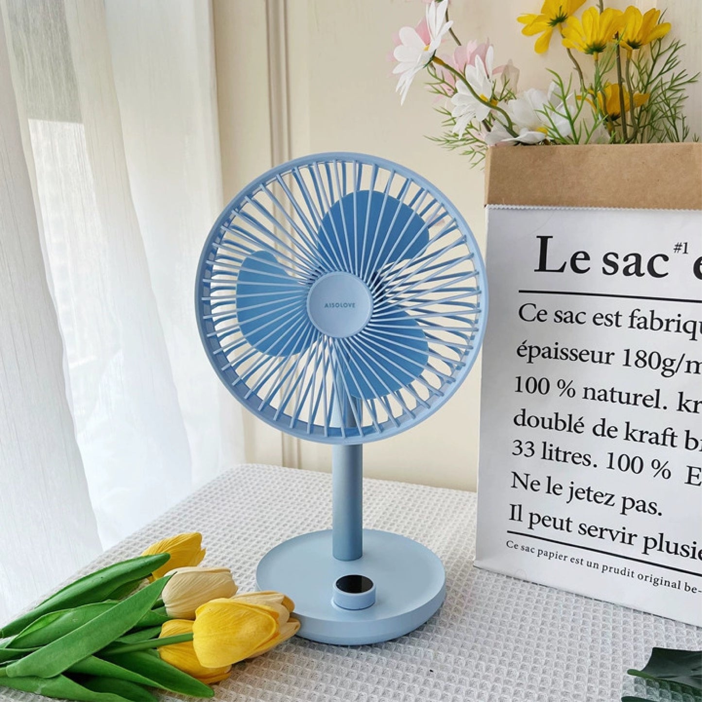 AISOLOVE F21 Wide-Angle Auto Oscillation USB Desktop Fan 4000mAh 广角自动摇头USB桌面风扇
