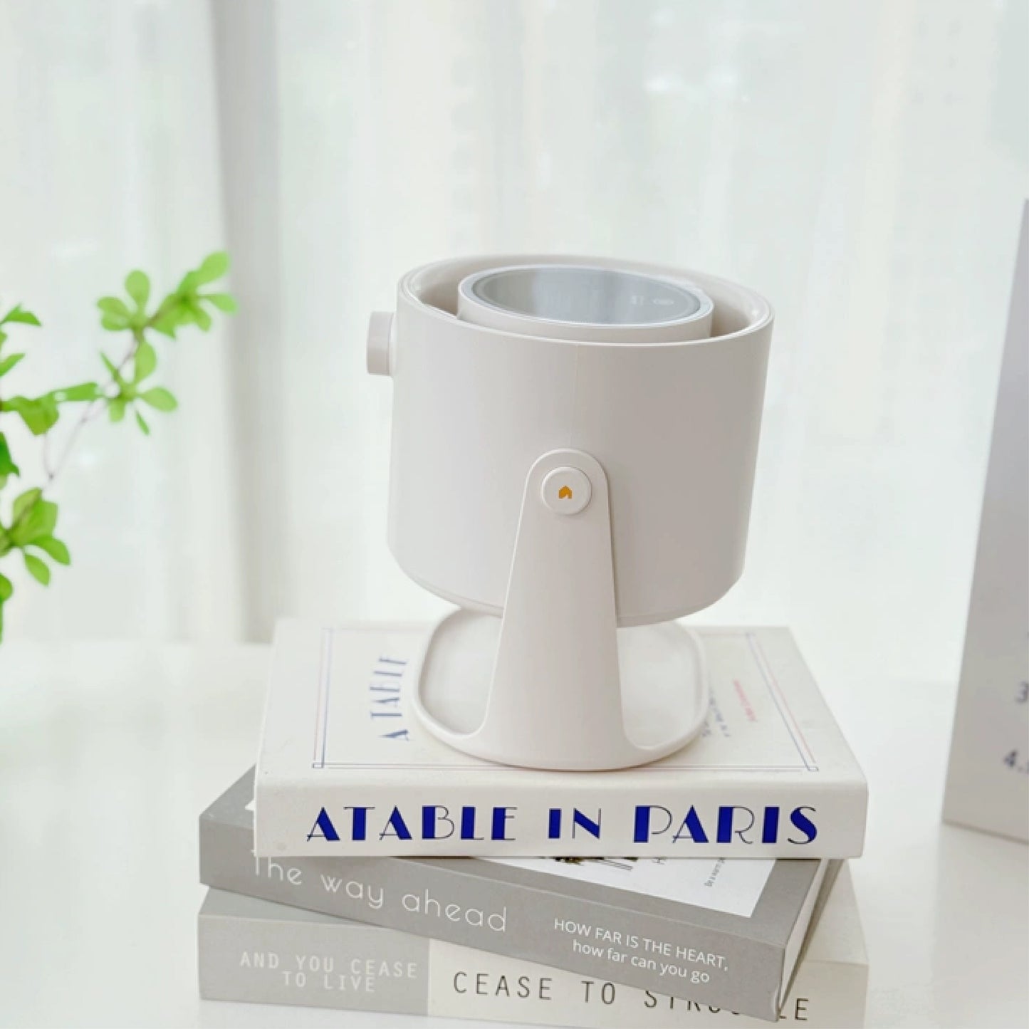 AISOLOVE 2-in-1 Desk & Wall Fan 双用桌面壁挂风扇 (No Battery)